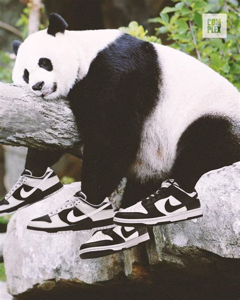 nike dunks panda drop